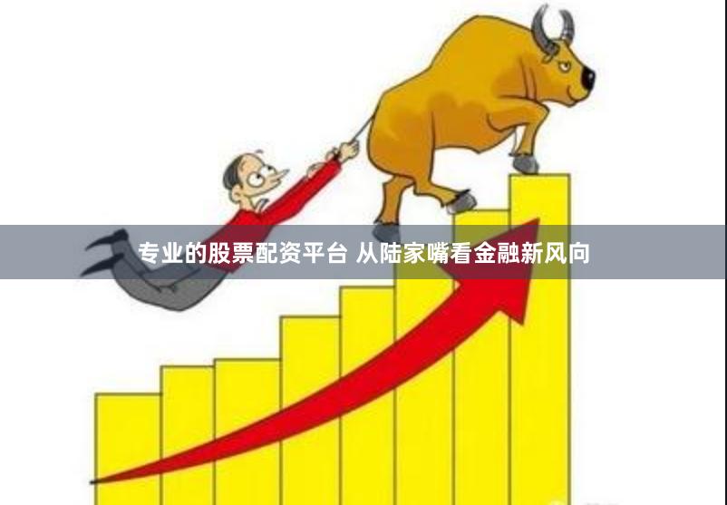 专业的股票配资平台 从陆家嘴看金融新风向