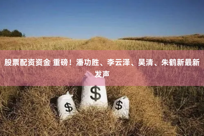 股票配资资金 重磅！潘功胜、李云泽、吴清、朱鹤新最新发声