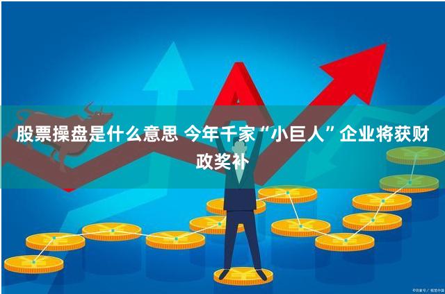股票操盘是什么意思 今年千家“小巨人”企业将获财政奖补