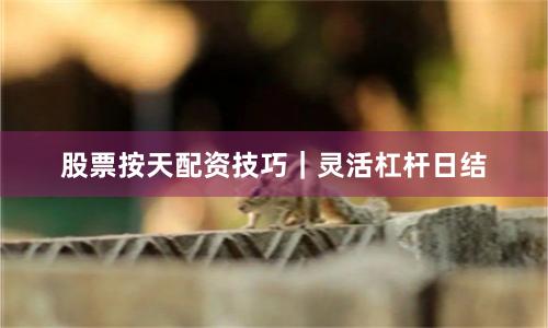 股票按天配资技巧｜灵活杠杆日结